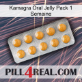 Kamagra Oral Jelly 1 Week Pack levitra1
